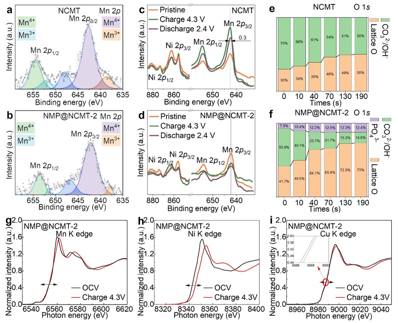 1687223946907038843.jpg 5.jpg